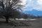 A dry broken tree with a fallen branch on the ground against the background of misty snowy mountains