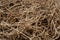 Dry brown cut vines are evenly textured intertwined on the ground