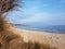 Dry brown grass and bare tree grows on a sandy beach, blue sea and sky, seascape in autumn sunny day