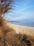 Dry brown grass and bare tree grows on a sandy beach, blue sea and sky, seascape in autumn sunny day