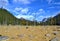 Dry brown land with stones, forest and high mountains in the background.