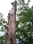 a dry brown trunk of a large tree next to a green blazing tree. On the background grey sky