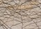 Dry brown vine on beige stone wall texture