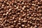 Dry buckwheat background