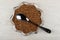 Dry buckwheat, spoon in transparent plate in form star on table. Top view