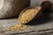 Dry bulgur wheat grains in wooden scoop or shovel, rustic style