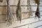 Dry bundles of medicinal plants hanging on the wall of the boards. Background, blurred