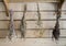 Dry bundles of medicinal plants hanging on the wall of the boards. Background, blurred