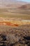 Dry bush at amazing martian landscape Altai Mars in Western Siberia,Russia.