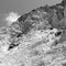 and dry bush rock in the sky santorini europe greece