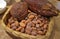 Dry cacao pod with heap of roasted cacao beans in a chocolate shop in Peru