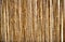 Dry cane texture background