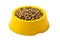 Dry cat food in yellow bowl