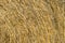 Dry chaff background