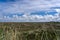 Dry clearing in Nationalpark Thy in Denmark.