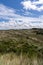 Dry clearing in Nationalpark Thy in Denmark.