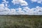 Dry clearing in Nationalpark Thy in Denmark.