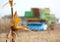 Dry corn cob closeup. A large combine harvester harvests corn on the field on a sunny day