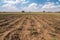 Dry cracked agricultural field due to drought, lack of water