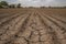 Dry cracked agricultural field due to drought, lack of water