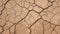 The dry cracked dirt texture background of the ground symbolizes the hot climate and drought