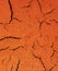 Dry Cracked Earth Background