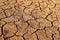 Dry cracked earth background in arid season. Many Province of North East in Thailand the ground dry. Brown cracked soil in the sum