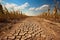 Dry and cracked earth in a corn field with blue sky background, Drought in a cornfield, AI Generated