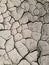 Dry cracked earth - drought