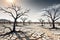 Dry Cracked Earth Sprawling Across the Terrain: Dead Trees with Barren Branches Stretched Towards a Harsh Sky