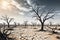 Dry Cracked Earth Sprawling Across the Terrain: Dead Trees with Barren Branches Stretched Towards a Harsh Sky