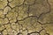 Dry cracked gray-green stony soil.