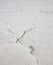 Dry cracked Great Salt Lake. Texture. Utah, USA