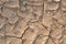 Dry cracked ground background texture