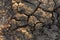 Dry and cracked mud soil soil, sandy soil section of dry soil drought. Cracked earth texture.