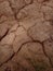 Dry cracked soil texture background. Arid red clay desert.
