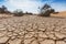 Dry cracked soil. Wadi Araba desert. Jordan landscape