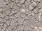 Dry cracked soil after water evaporated in arid conditions