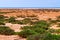 Dry cracked takir soil in semi-desert in Russia. Nature landscape