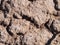 Dry Cracking Ground Texture Background