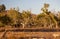 Dry creek bed. Flinders Ranges. South Australia.