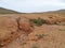 Dry creeks and river beds near La Oliva