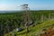 Dry crooked tree in the wasteland on the top of the mountain. Russia. Karelia. Vottovaara mountain after the wildfire