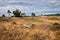 Dry cut wood on hills by forest