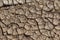 Dry deep cracks of the desert. World water scarcity on the planet. Global warming and greenhouse effect concept. Drought cracked