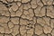 Dry dehydrated earth in cracks with traces of wild animals Close-up