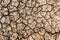 Dry desert land texture as background