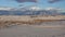 Dry desert plants on white gypsum sands. White Sands National Monument in New Mexico, USA