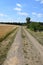 dry dirt road at a ripe grain field