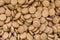 Dry Dog and Cat food.  Pile of kibbles. Close up for wallpaper